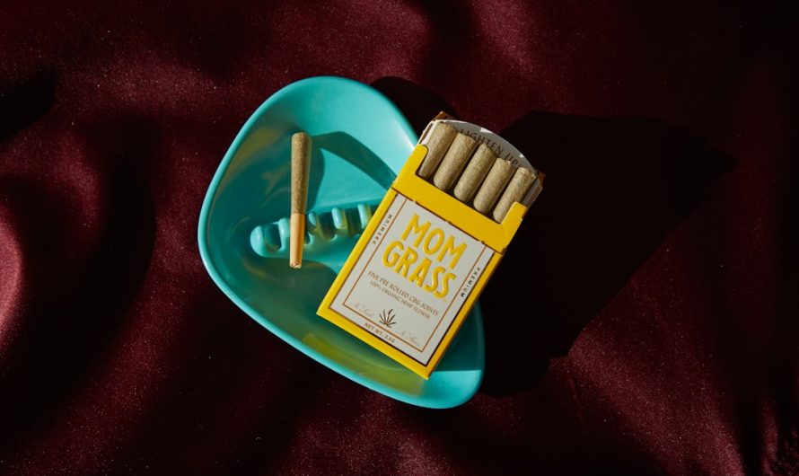 Planning a trip to Prague and looking to explore the local cannabis scene?