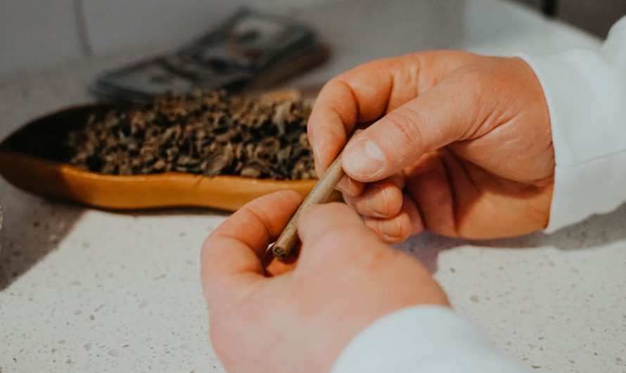 Prague Cannabis Discounts and Deals