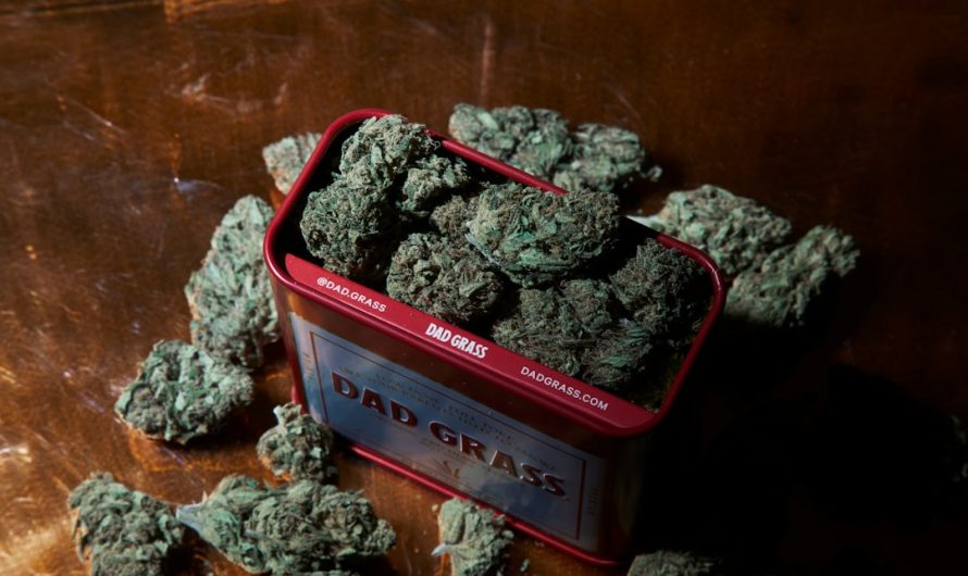 Prague THC Chocolate: The Ultimate Guide