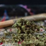 Prague Cannabis: Legal Status, Prices, Shops, and Delivery img-457.jpg
