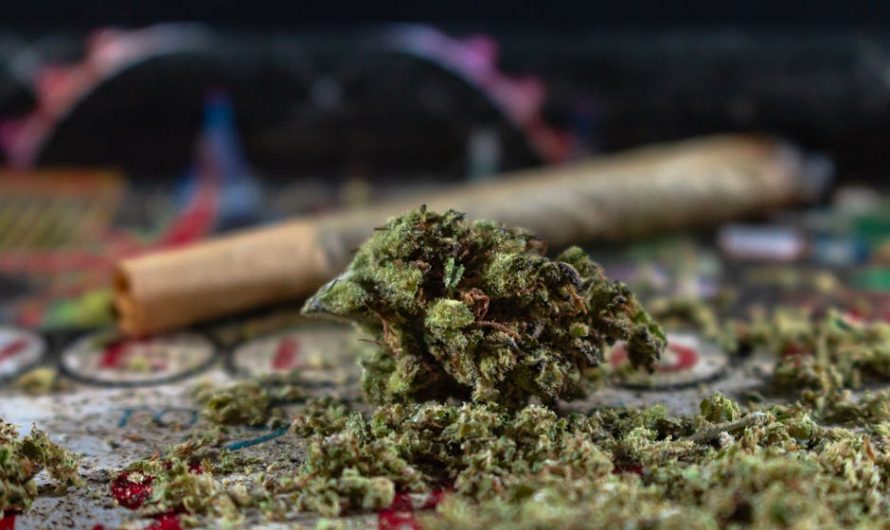 Prague Cannabis: Legal Status, Prices, Shops, and Delivery