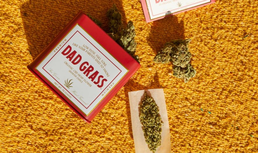 Welcome to the ultimate guide for lovers of cannabis‑infused confections in the heart of the Czech Republic