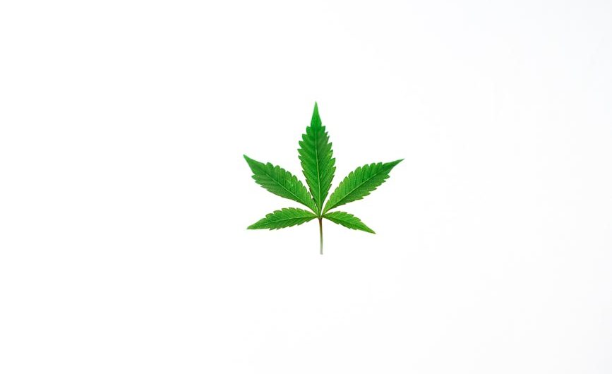 Prague Vape Shop Premium THC CBD and Cannabis Vapes