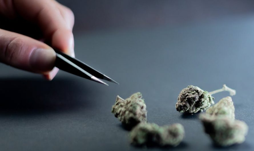 Prague vape shop online