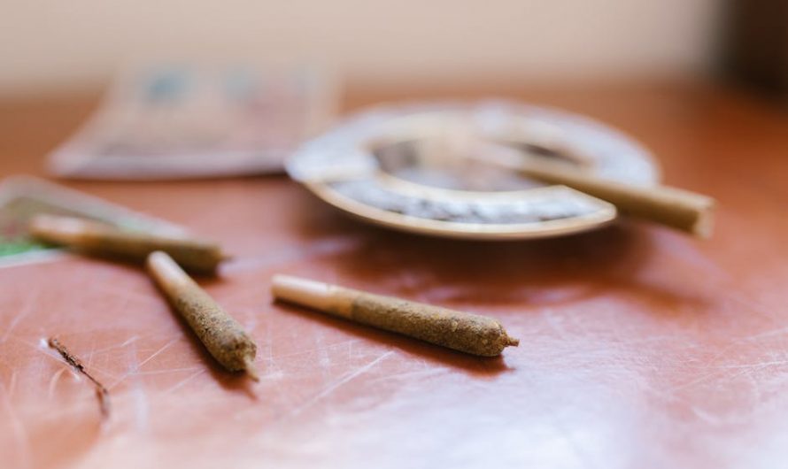 Looking for high‑quality THC joints delivered straight to your door in Prague?