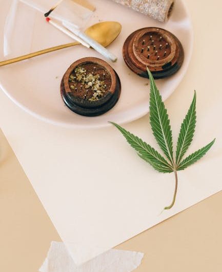 Welcome to Prague’s premier destination for premium THC‑infused treats