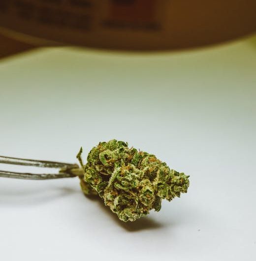 Best Cannabis and Weed Deals in Prague