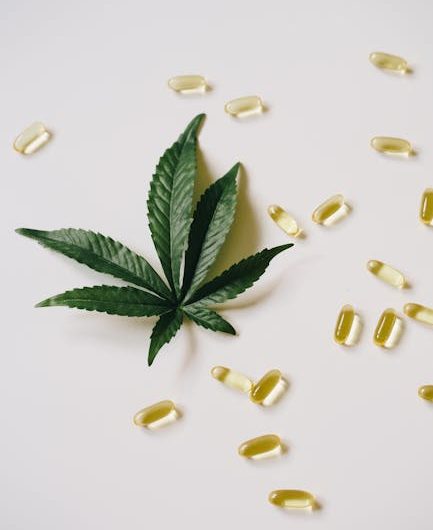 Cannabis Prices in Prague: Where to Buy Marijuana, Hemp, and CBD
