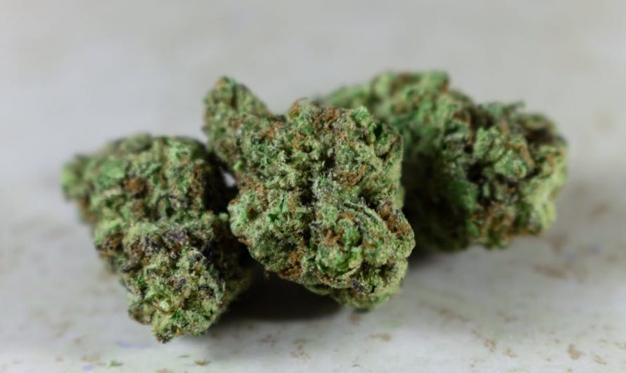 Prague THC Joint Shop: Online Delivery and Cannabis Courier Service